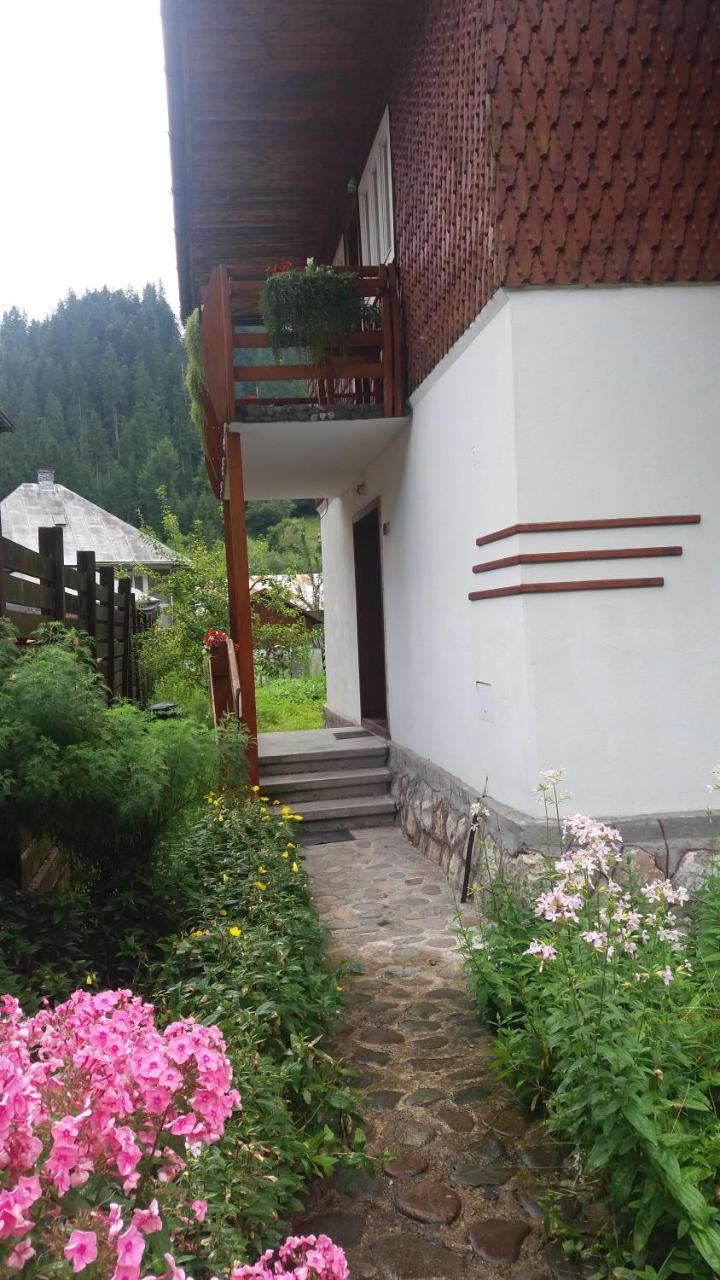Hotel Casa De Vacanta Joldes Gîrda de Sus Zewnętrze zdjęcie