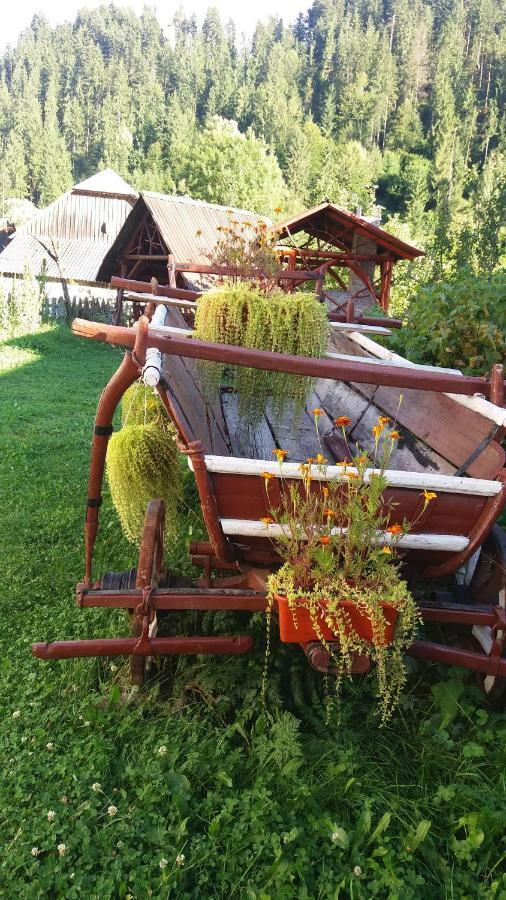 Hotel Casa De Vacanta Joldes Gîrda de Sus Zewnętrze zdjęcie